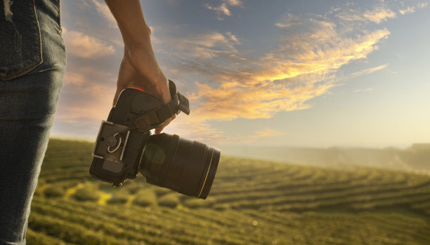 人们自由自在，在春天的草地上放松。生活方式的概念图片下载