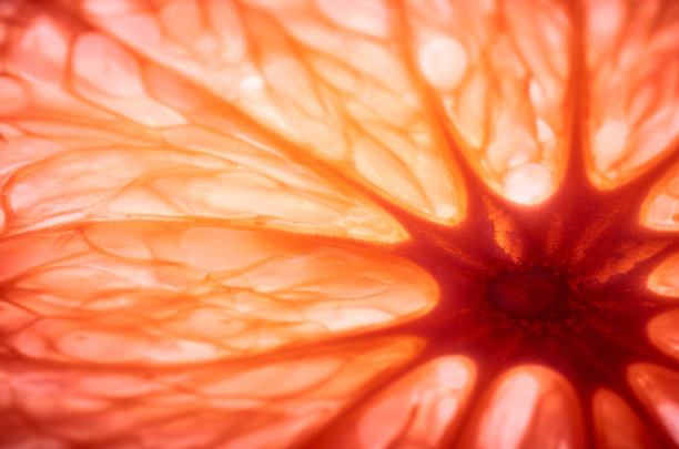 切片柚子宏观抽象化图片下载