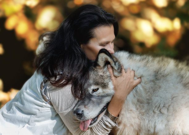 一个年轻的女人在秋天的森林里拥抱她的狗图片下载