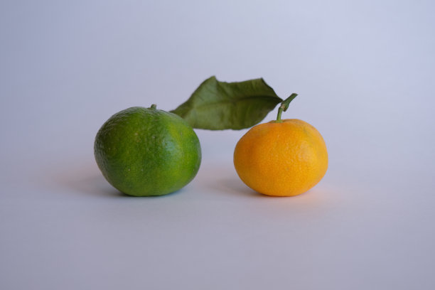 绿色和黄色的橘子。不同的概念图片下载
