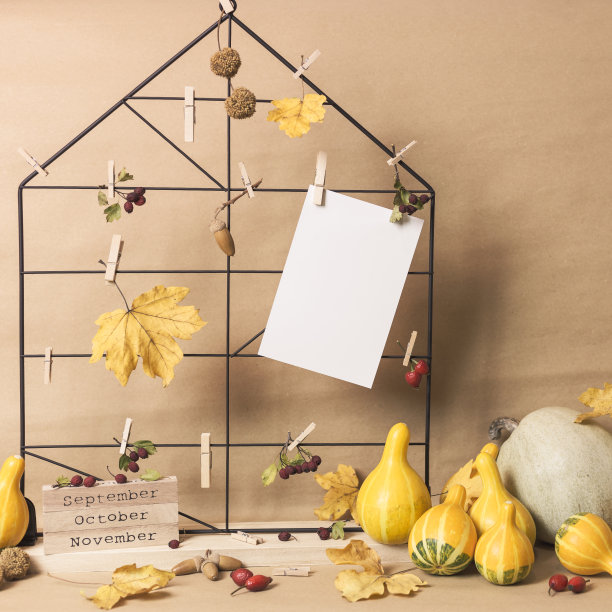 空框架与秋天的构图图片下载