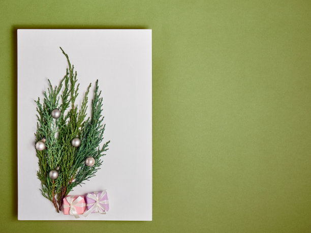 圣诞卡模型。图片下载