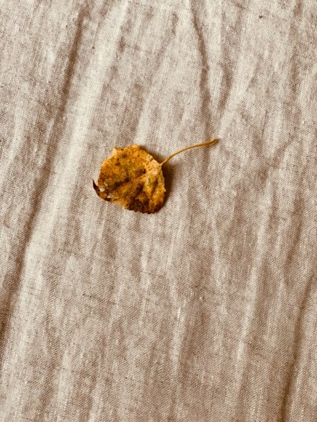 卧室留言图片下载