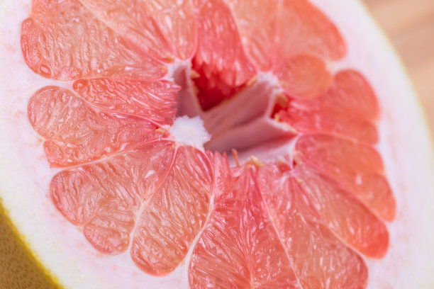 柚子的汁液囊泡和种子横切面图片下载