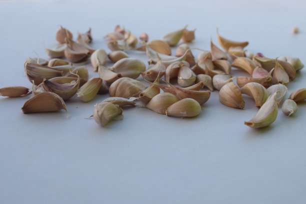 去皮大蒜白色背景图片下载