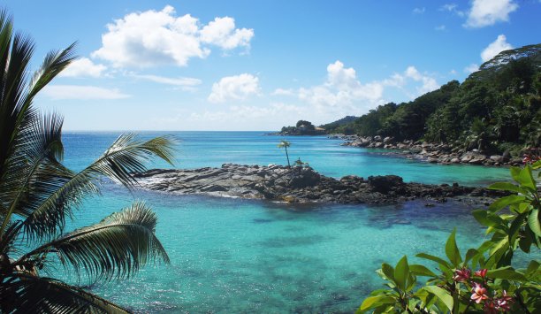 充满异国情调的塞舌尔群岛和宁静的蓝绿色印度洋，美丽的热带自然景观，令人惊叹的蔚蓝海洋，天堂海滩，绿色的椰子树和鸡头花，风景优美的岩石海岸，暑假快乐。图片下载