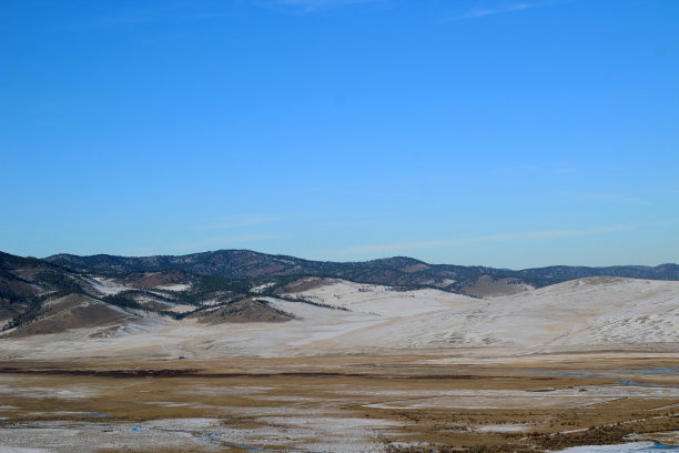 冬天白雪皑皑的山上覆盖着松树林，黄澄澄的草地上爬满了雪，清澈的蓝天为背景图片下载