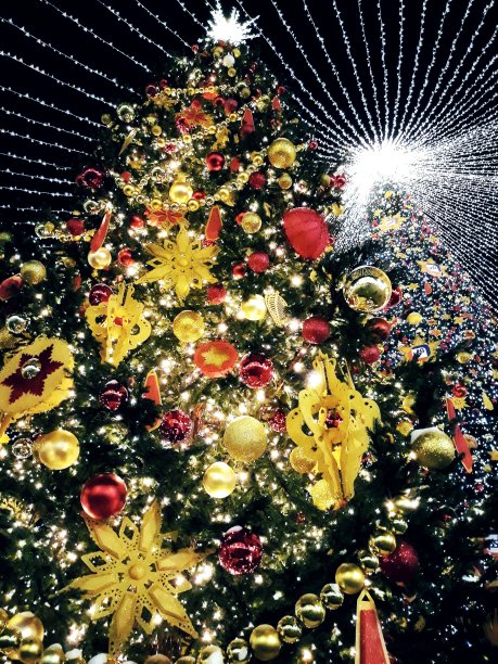 圣诞树图片下载