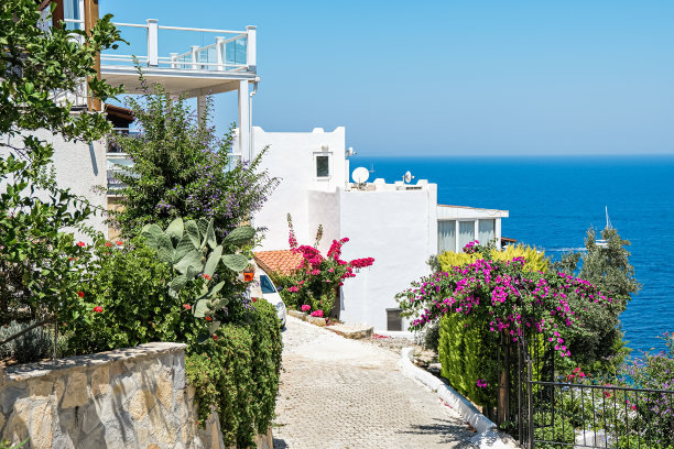 白色的度假别墅在度假胜地与海景和棕榈树图片下载