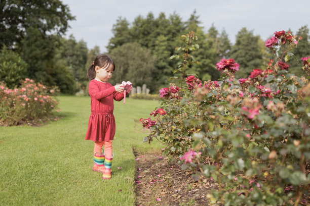 小女孩在夏天的早晨拍照图片下载