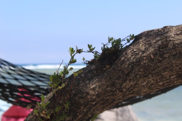 海滩宁静图片下载