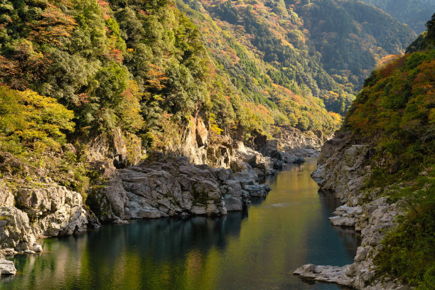 德岛三吉市美丽的秋叶风景图片下载