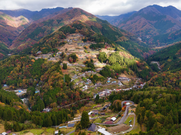 德岛三吉市美丽的秋叶风景图片下载