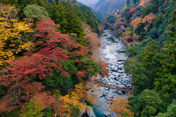 德岛三吉市美丽的秋叶风景图片下载