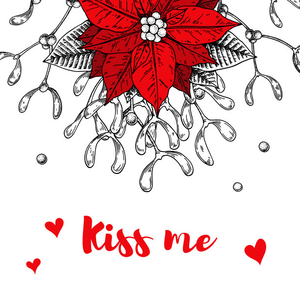 圣诞卡片与手绘槲寄生和一品红孤立在白色的背景。矢量插图在素描风格。在槲寄生下吻我图片下载