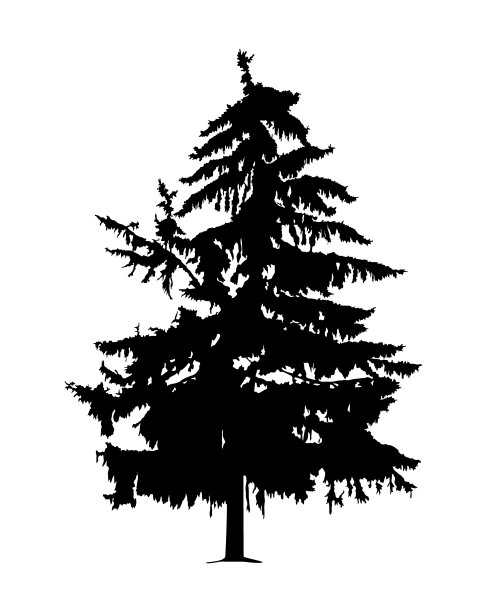 受放射性影响的松树剪影图片下载