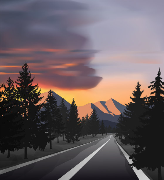 汽车路在野生山区地形与松树。图片下载