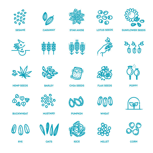 植物种子矢量图标集图片下载