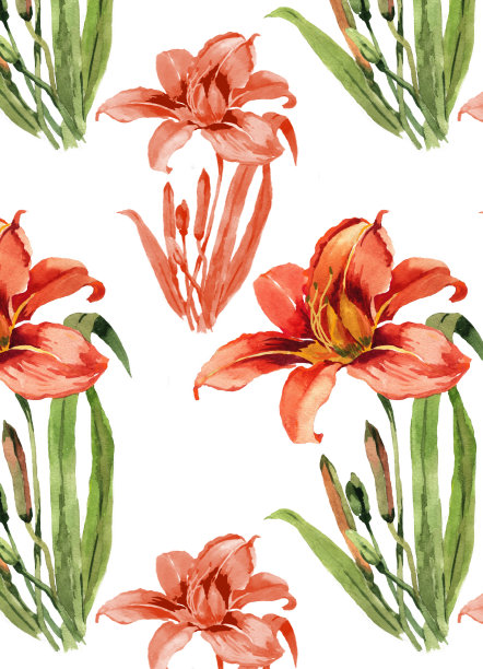 水彩橙色百合孤立的白色无缝图案。图片下载