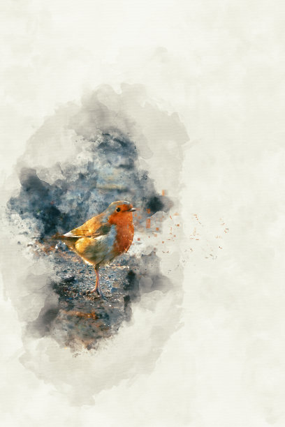 圣诞罗宾红胸卡设计在水彩图片下载