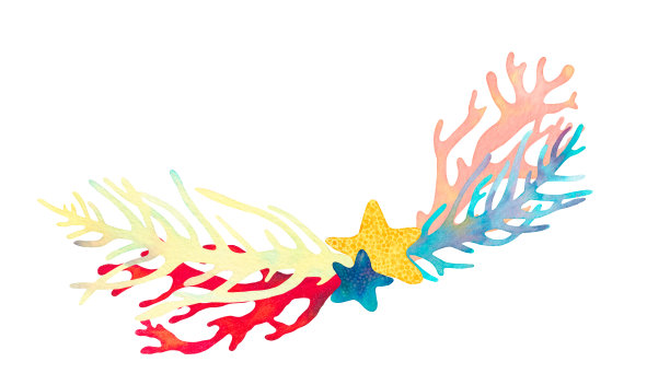 珊瑚礁水彩插图组成。手绘水下海洋生物装饰设计。美丽明亮的珊瑚，海星，海藻，海洋生物在白色的背景图片下载