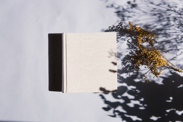 植物阴影和天然织物的相册图片下载