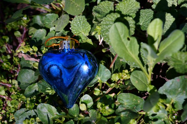 蓝色的心在绿色的草地上。图片下载