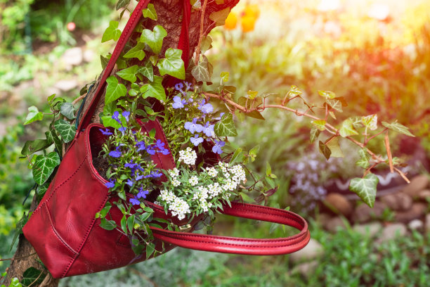 把花种在一个红色的回收手提包上挂在树上，悬挂在花园里。可持续的园艺概念;周期花圃;太阳从后面照过来图片下载