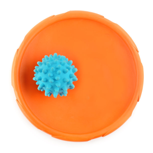 狗的玩具:飞盘和带刺的球孤立在一个白色的背景。图片下载