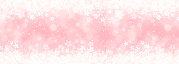 樱花飘落的背景图片下载