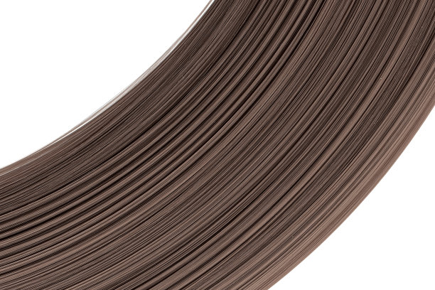 白色背景上的棕色头发图片下载