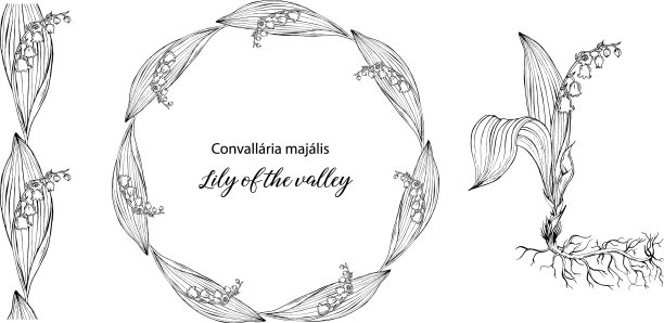 花的花环与百合花图片下载