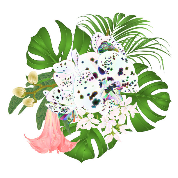 带有热带花卉的花束图片下载