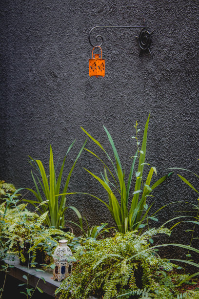 装饰的后院图片下载