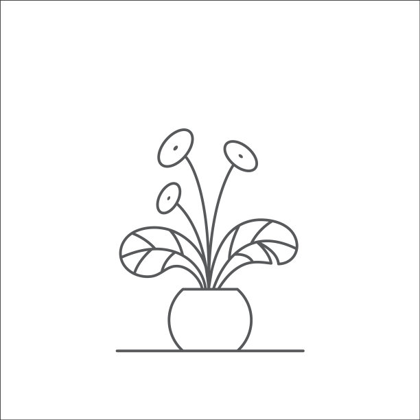 室内植物可编辑的行图片下载