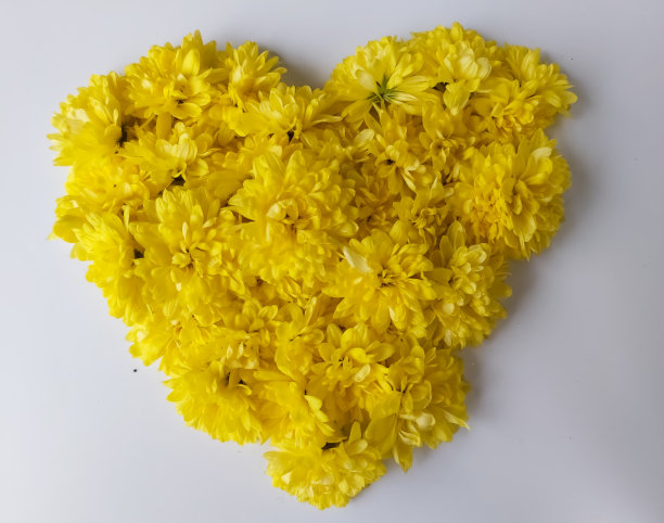 黄色的心图片下载