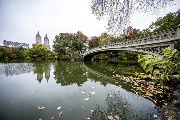 纽约中央公园湖上的弓桥图片下载