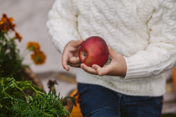 裁剪照片作为男孩拿着一个红色成熟的苹果在他的手近距离。孩子的手拿着一个红苹果。图片下载
