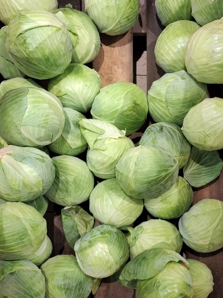 好食物，绿色卷心菜图片下载