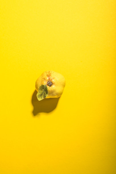 简单多彩的水果木瓜。图片下载