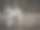 狼，灰色和白色图片下载