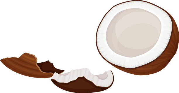 有坚硬外壳和纤维状外壳的裂开的椰子图片下载