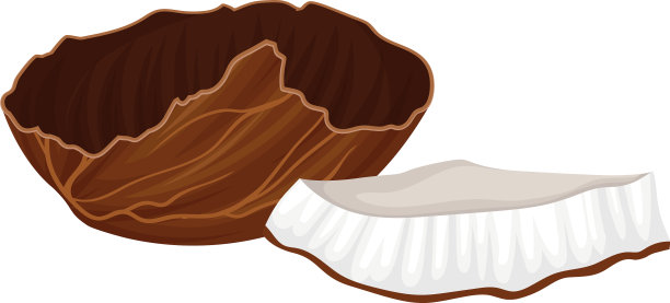 有坚硬外壳和纤维状外壳的裂开的椰子图片下载