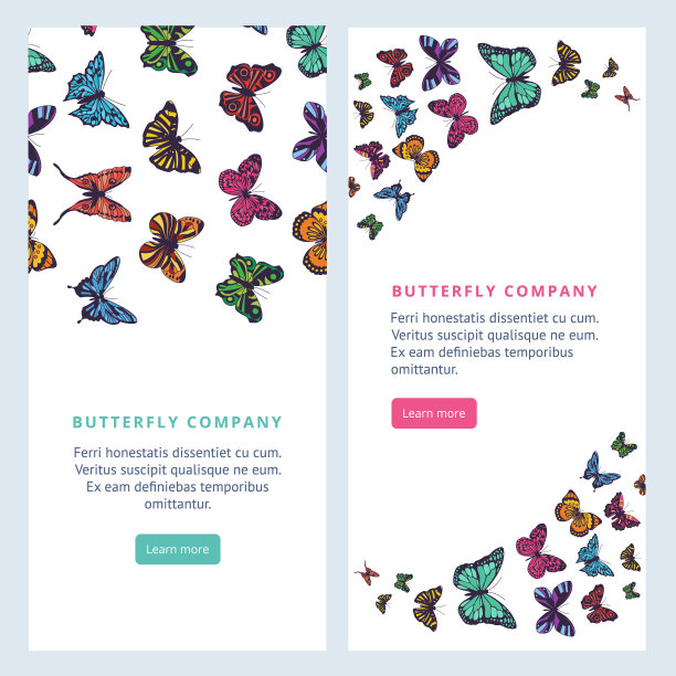 矢量卡与飞行的异国情调的热带蝴蝶和文字图案图片下载