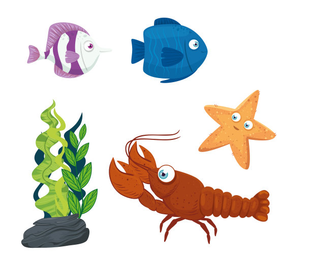 用龙虾和海星设置鱼的海洋世界图片下载