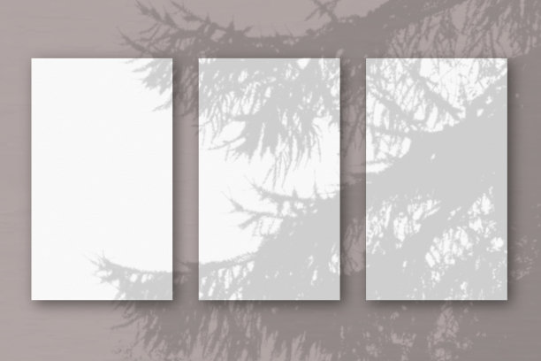 3张垂直纹理的白纸在柔软的蓝色桌子背景。模型覆盖的植物阴影。自然光在外来植物上投下阴影。水平方向图片下载