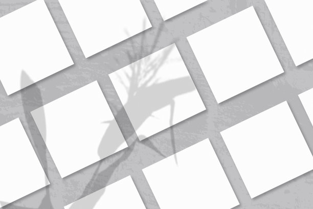 自然光从植物的小穗和叶子投射阴影几张方形的白色纹理纸图片下载