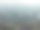 森林中树木的高角度视图图片下载