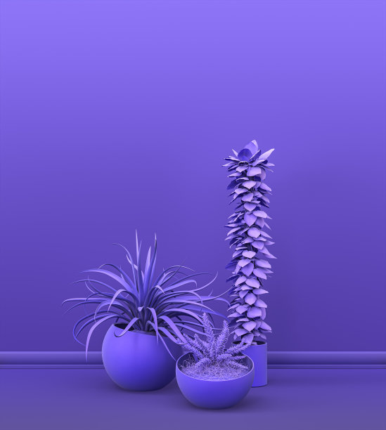 多株植物前面的纯色墙壁在紫色房间复制空间和画框背景。三维渲染图片下载
