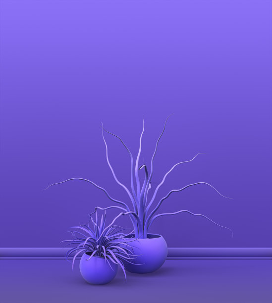 一组植物和花在纯单色紫色，洋红空室内空间复制空间和海报框背景。三维渲染图片下载